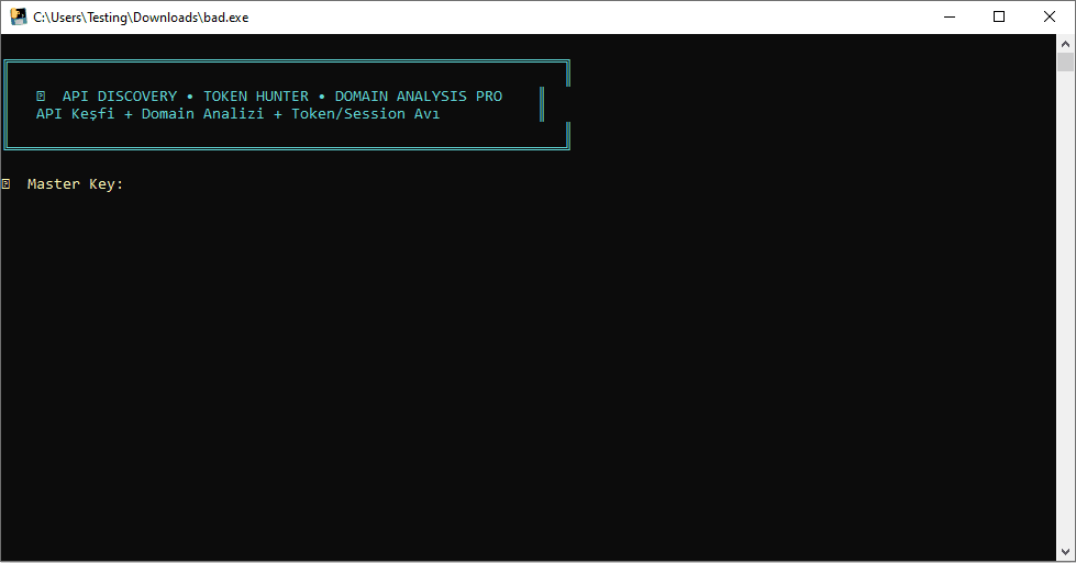 API Discovery & Token Hunter